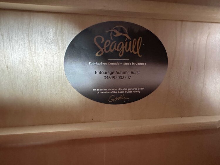 Seagull Seagull Entourage Acoustic Guitar - Autumn Burst