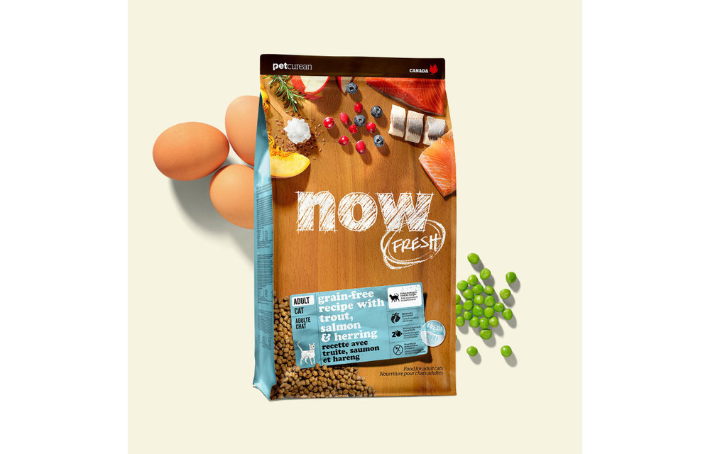 NOW Fresh Fish Adult Cat 3lb