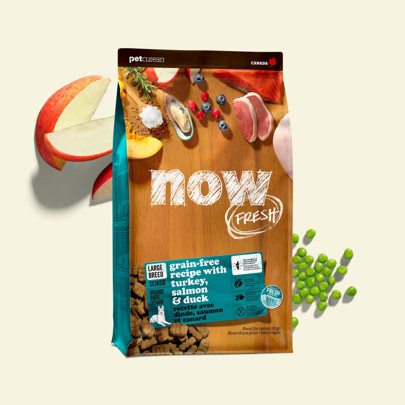 NOW Fresh Dog Large Breed Senior 25Lb