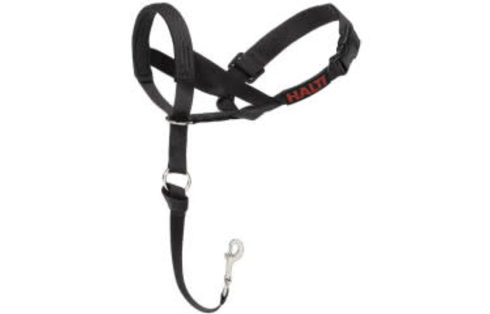 Halti Halt Muzzle