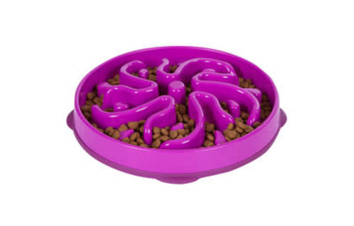 Outward Hound Fun Feeder