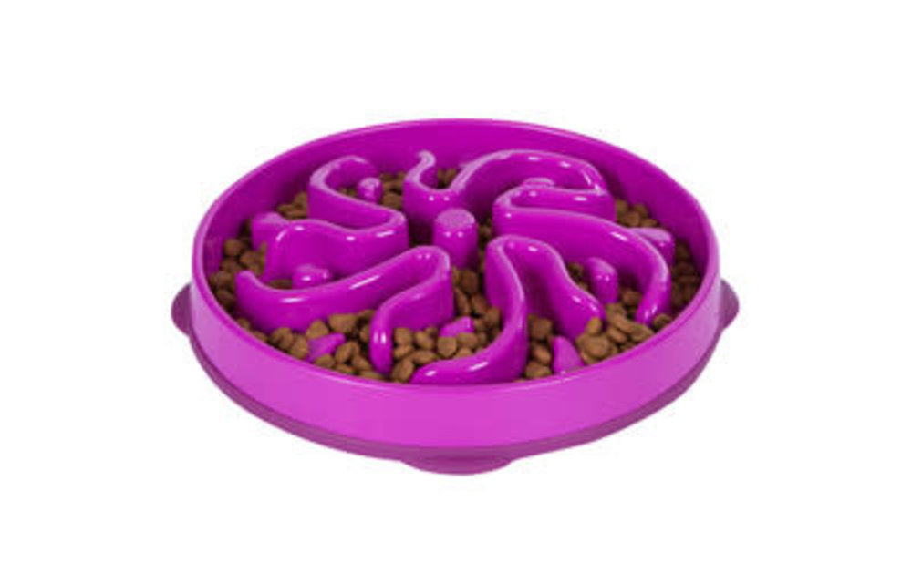 Outward Hound Fun Feeder Medium