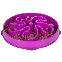 Outward Hound Fun Feeder Medium