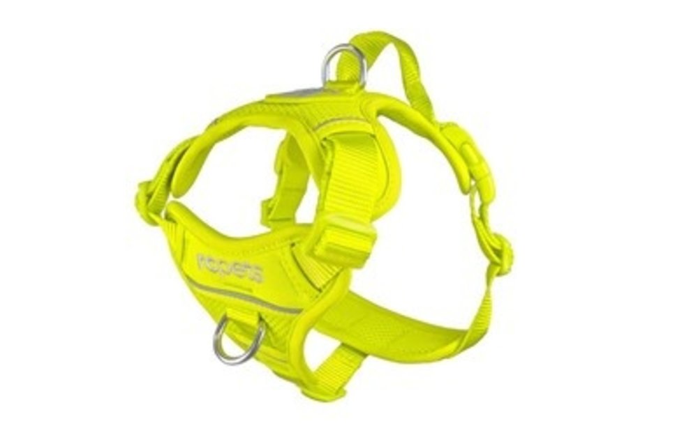 RC Momentum Harness