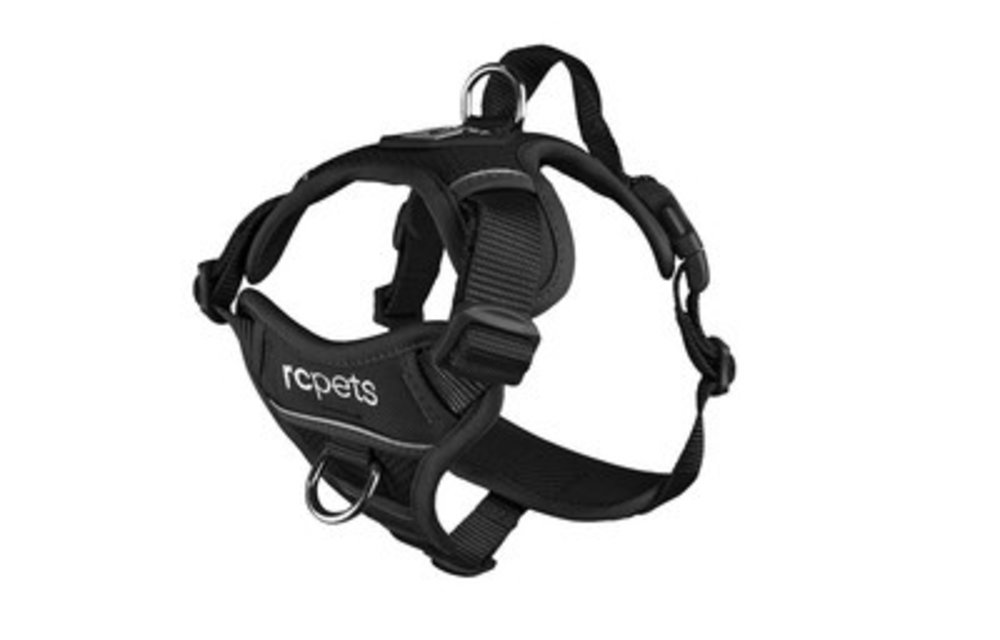 RC Momentum Harness