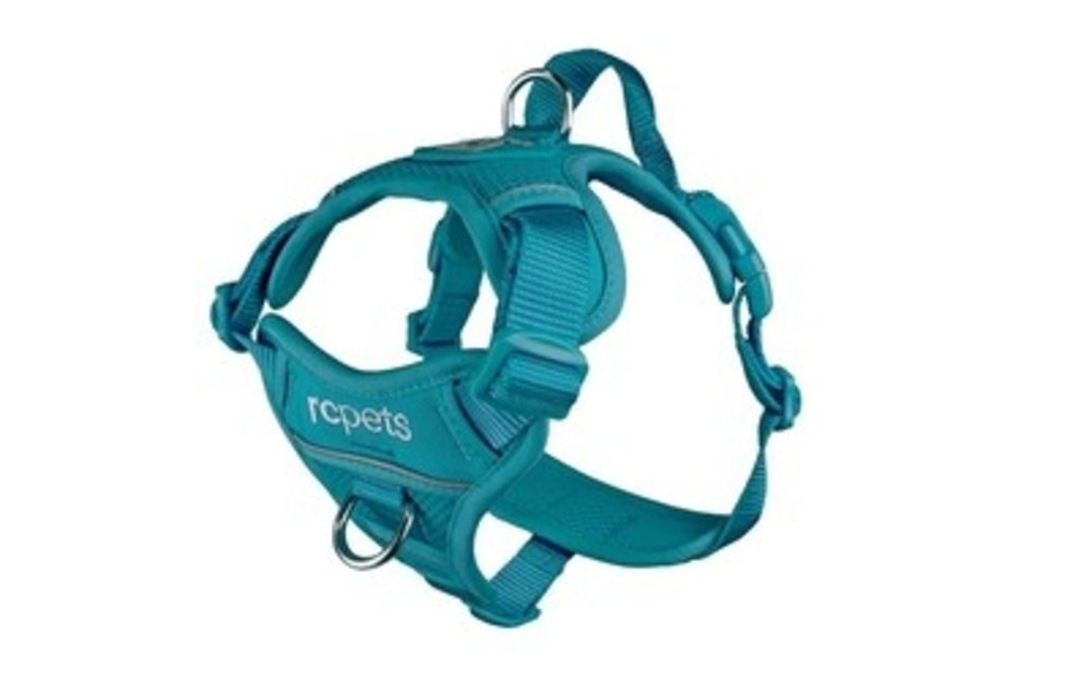 RC Momentum Harness