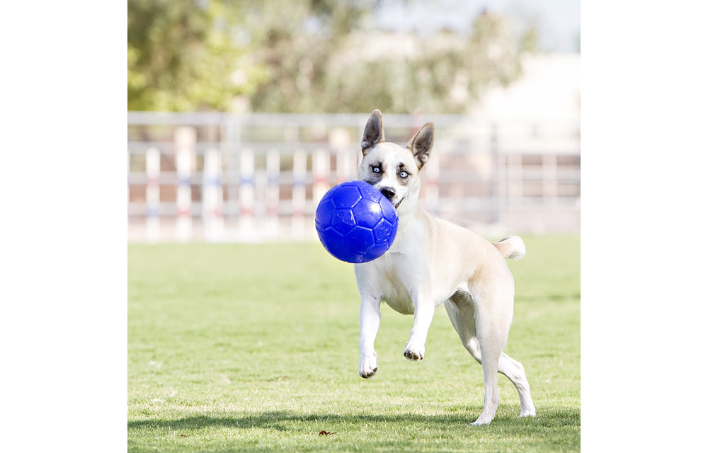 Jolly Soccer Ball 8'' Ocean Blue