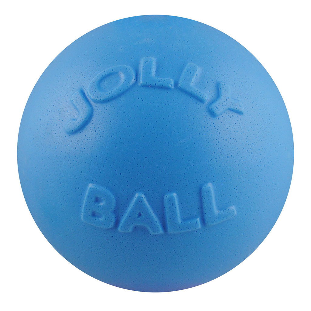 Jolly Ball Bounce n Play Blueberry 4.5"