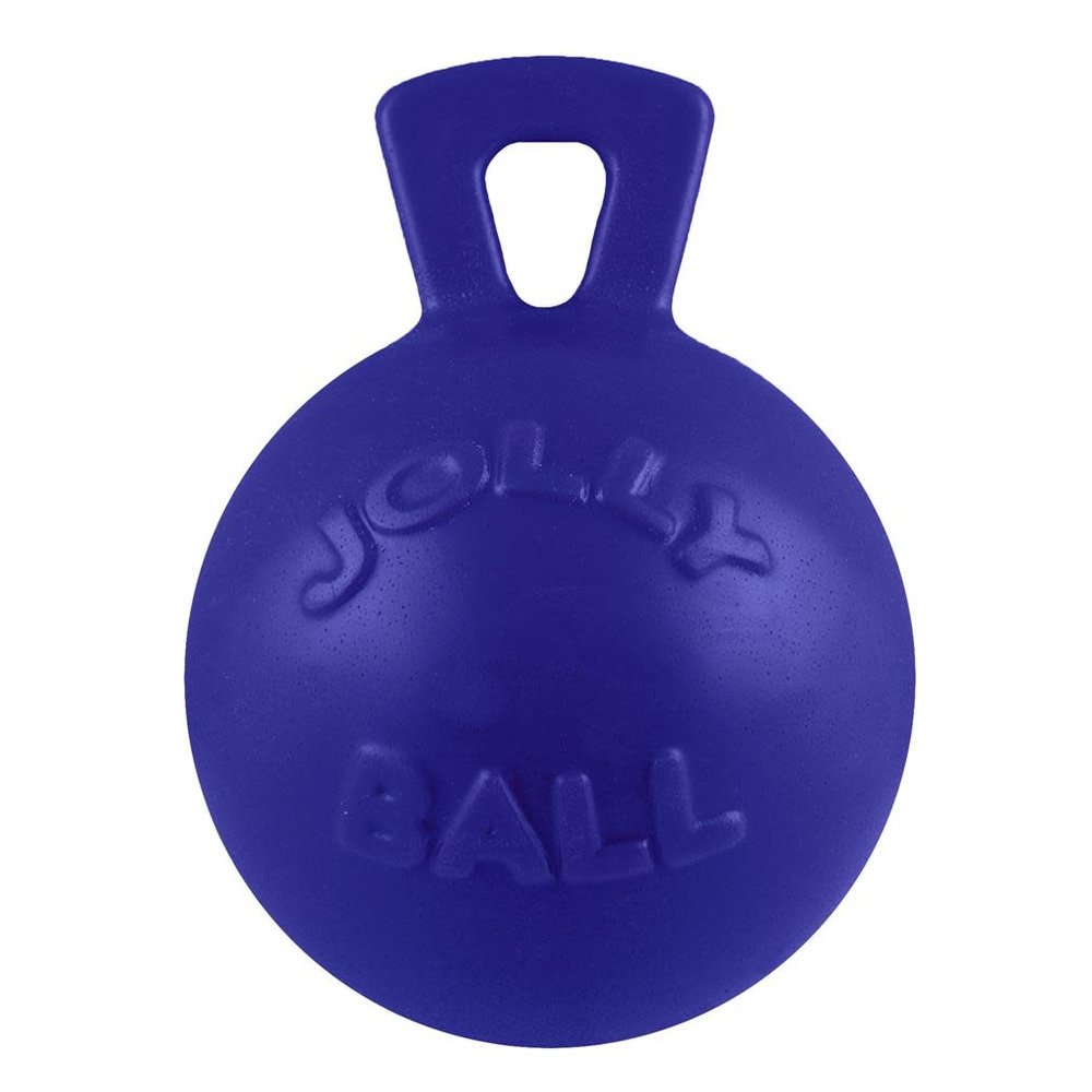Jolly Ball Tug N Toss Blue 8 Woofy s by Paw Street Market