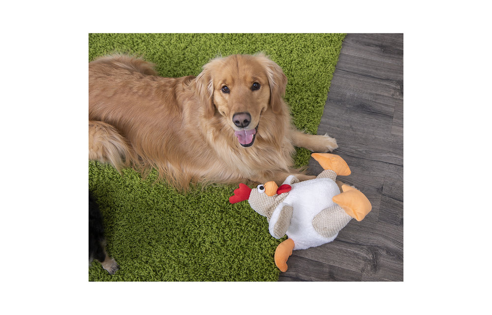 Checkers Fat Rooster White Xlarge
