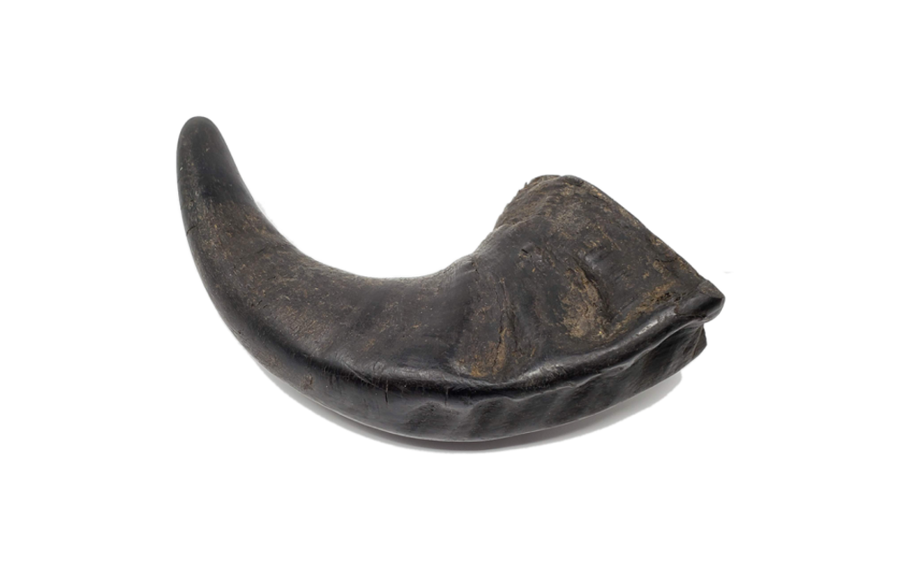 Open Range Water Buffalo Horn Small