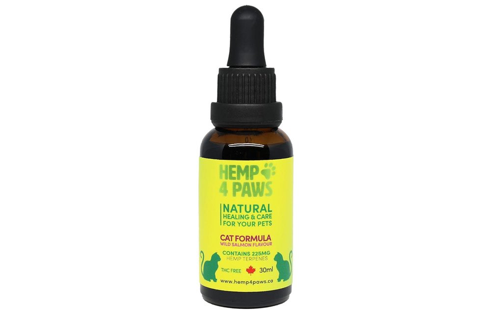 Hemp 4 Paws Oil Salmon Flavour 30ML | Cat