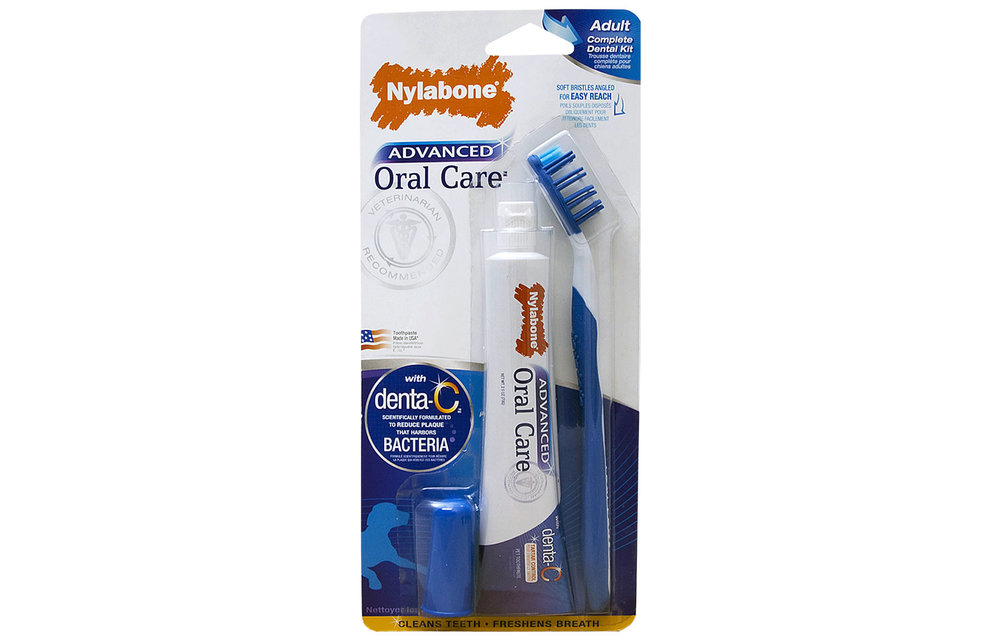 Nylabone Advance Oral Care Dog Dental Kit