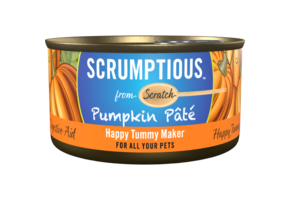 Scrumptious Pumpkin Pate 2.8oz