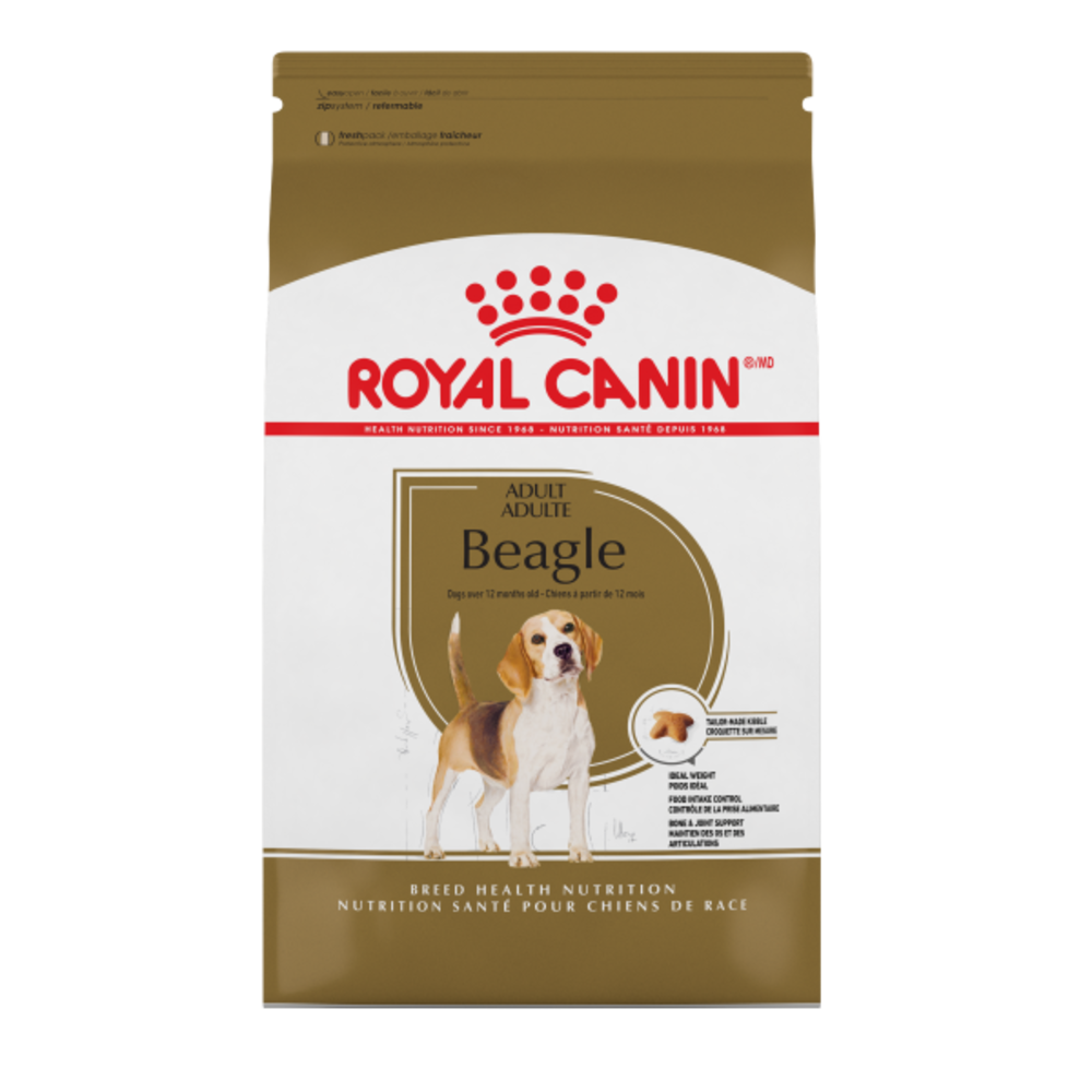 beagle royal canin