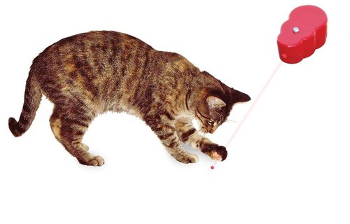 Kong Active Cat Laser