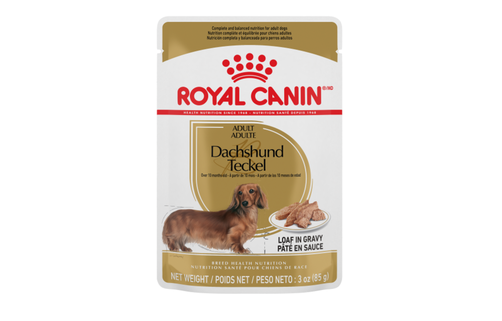 Royal Canin Dachshund Loaf in Gravy Pouch 85g