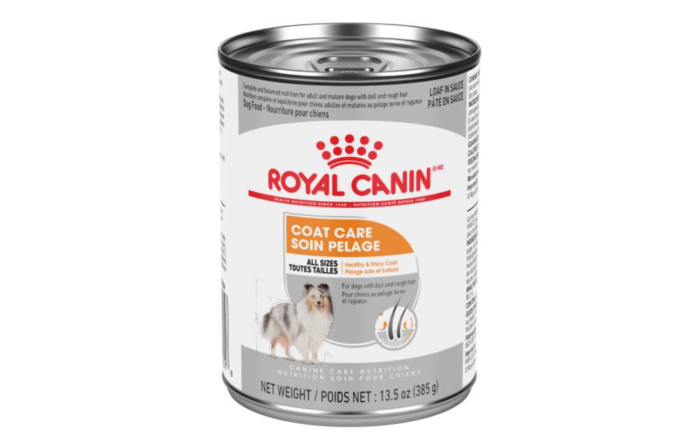 Royal Canin Coat Care Loaf 385g