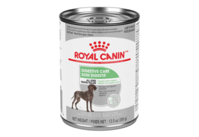 Royal Canin Digestive Care 385g Dog