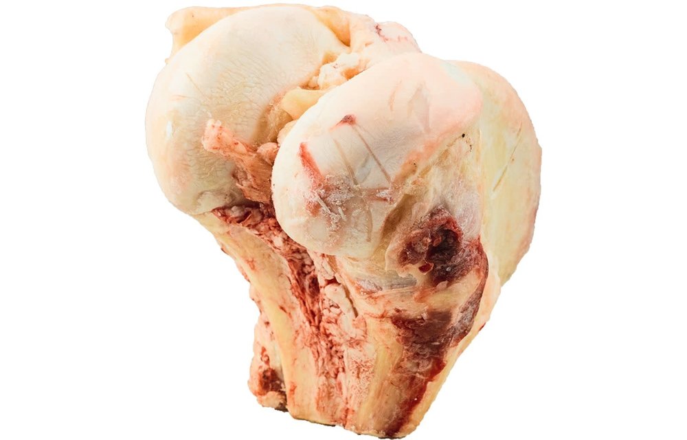 K9 Choice - Buffalo Knuckle Bone