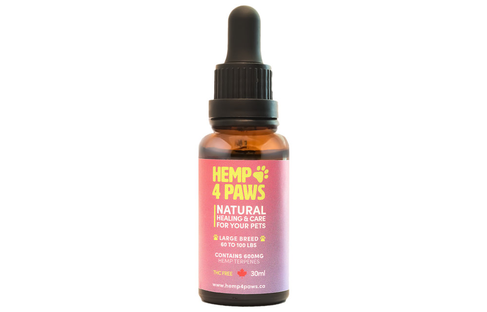 Hemp 4 Paws Oil Large Breed 600mg