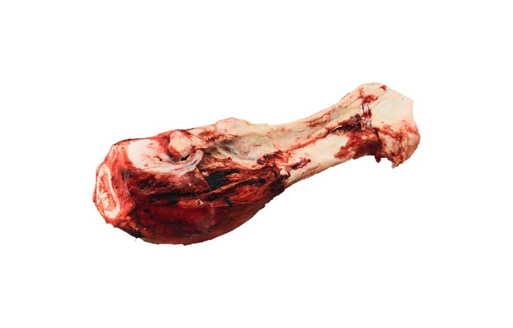K9 Choice - Beef Dino Bone