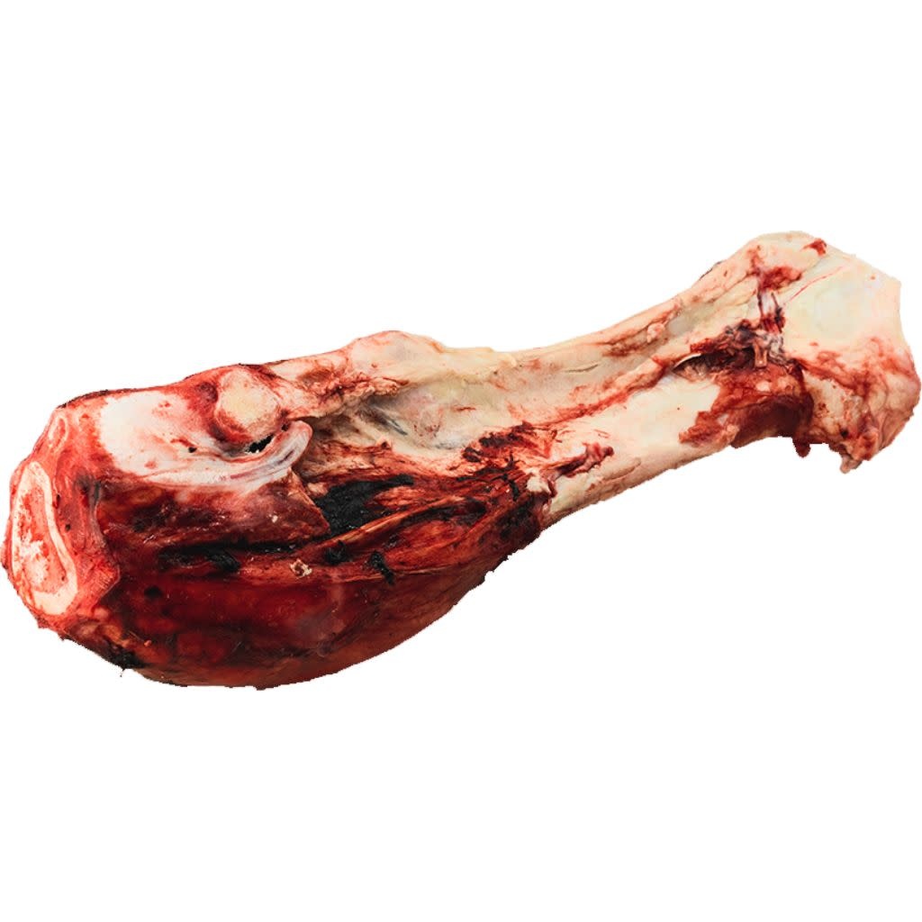 K9 Choice Frozen Beef Dino Bone