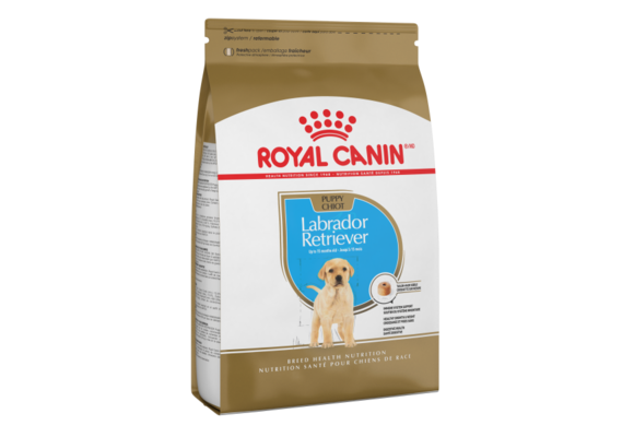 Royal Canin BHN Labrador Retriever Puppy 30lb