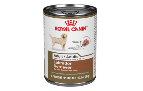 united airlines fly dogs