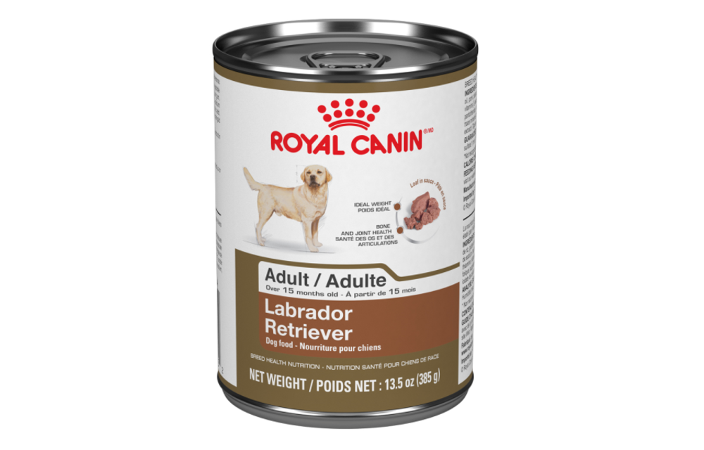 Royal Canin BHN Labrador 13.5oz Dog