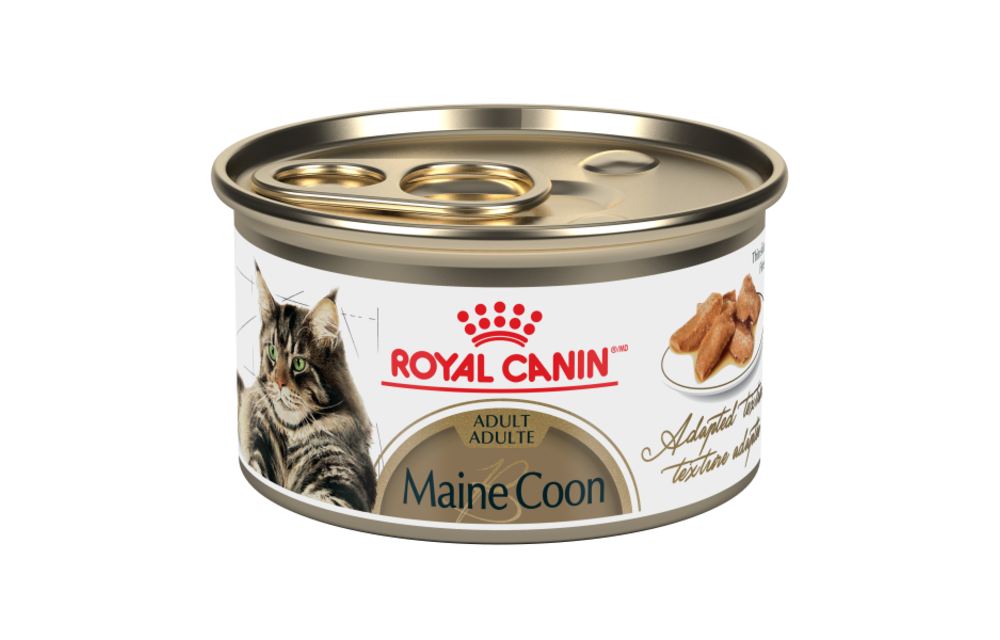 Royal Canin FBN Maine Coon 85g Cat