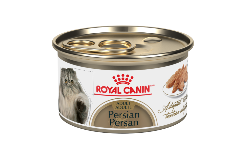 Royal Canin FBN Persian 85g