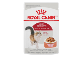 Royal Canin FHN Adult Chunks in Gravy Pouch 85g Cat