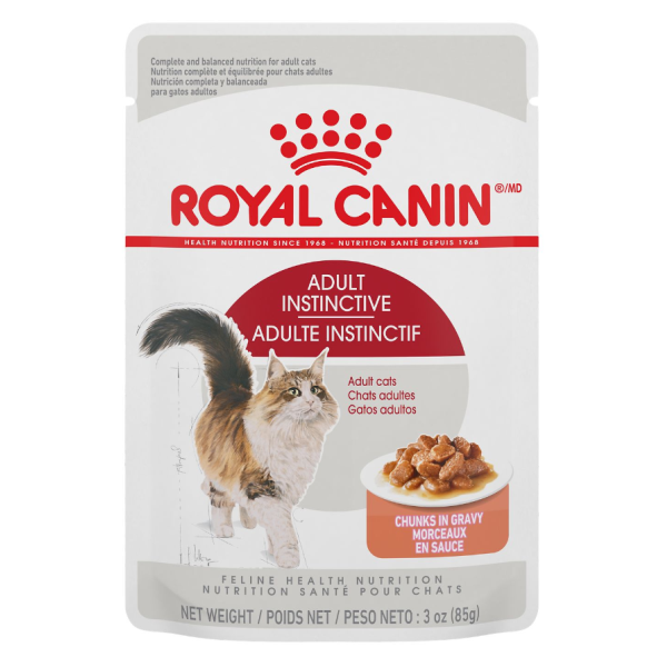Royal Canin FHN Adult Chunks in Gravy Pouch 85g Cat