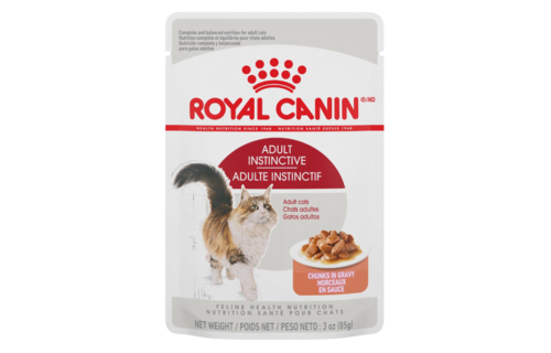 Royal Canin FHN Adult Chunks in Gravy Pouch 85g Cat