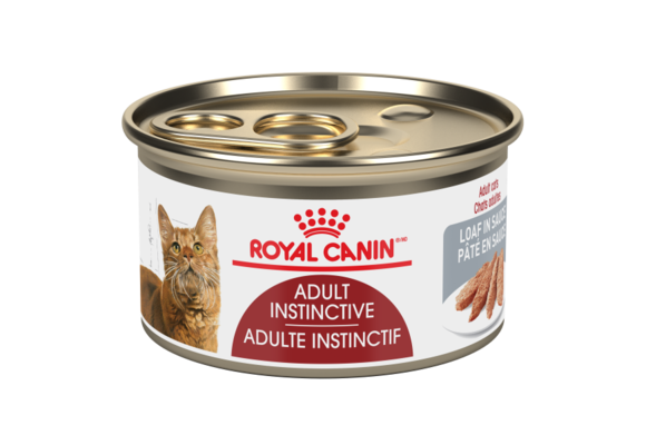 Royal Canin FHN Adult Instinctive Loaf 85g Cat