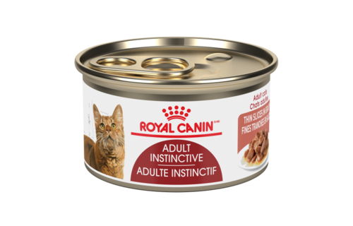 Royal Canin FHN Adult Thin Slices 85g Cat