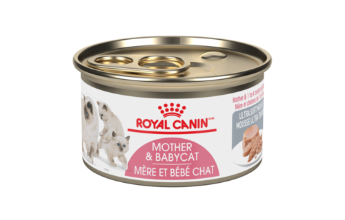 Royal Canin FHN Babycat Loaf 85g