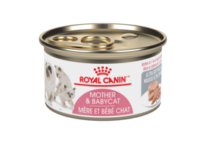 Royal Canin FHN Babycat 145g