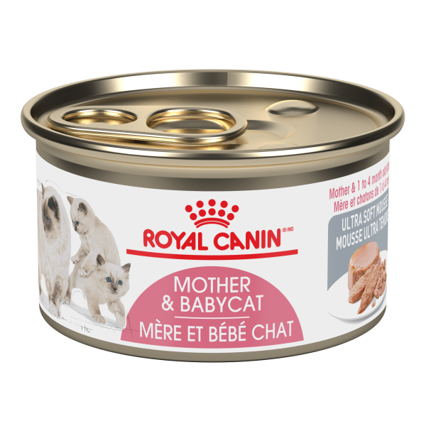 Royal Canin FHN Babycat 145g
