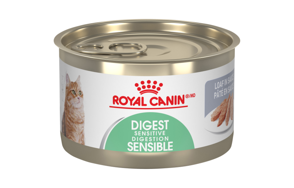 digest royal canin