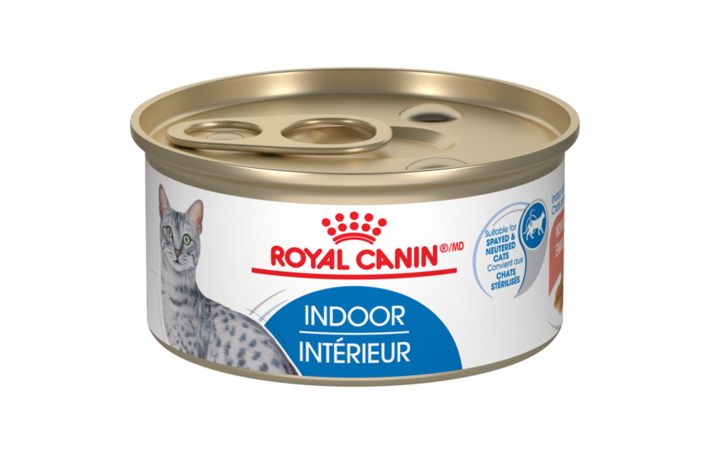 Royal Canin FHN Indr Adult 85g Morsels