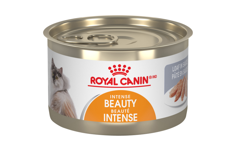 Royal Canin FHN Int Beauty 145g Cat