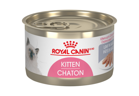 Royal Canin FHN Kitten 145g