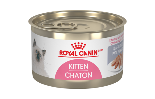 Royal Canin FHN Kitten 145g