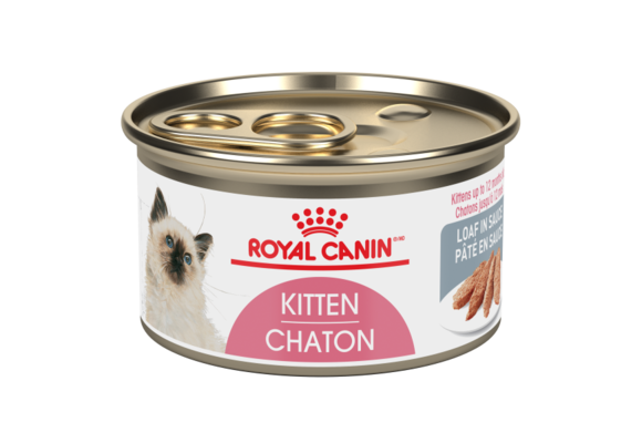 Royal Canin FHN Kitten Loaf  85g