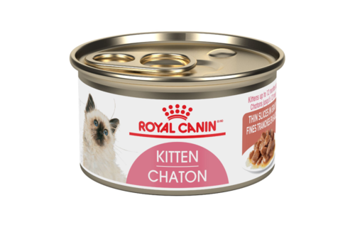 Royal Canin FHN Kittein Slcn Thies 85g