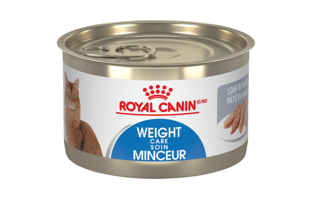 Royal Canin FHN Weight Care 145g Cat