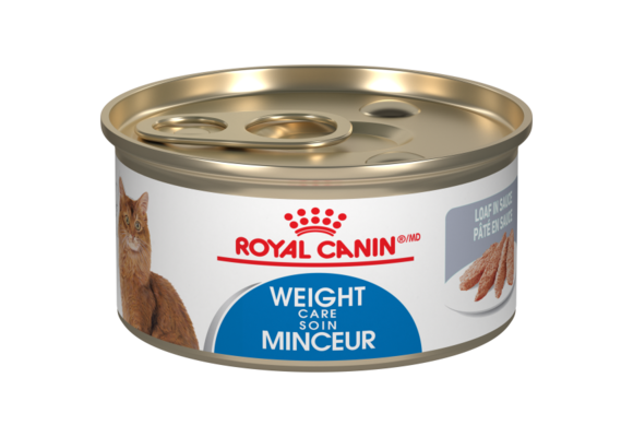 Royal Canin FHN Weight Care Loaf 85g Cat