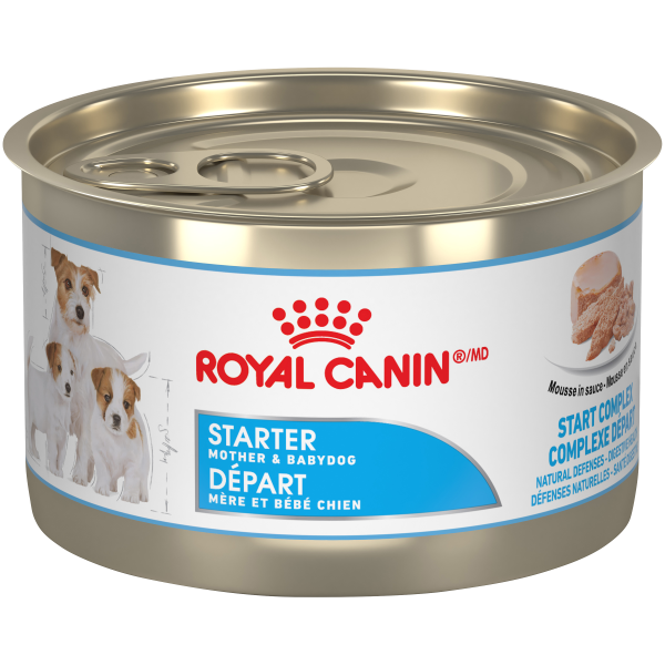 Royal Canin SHN Starter Mousse 145g Dog
